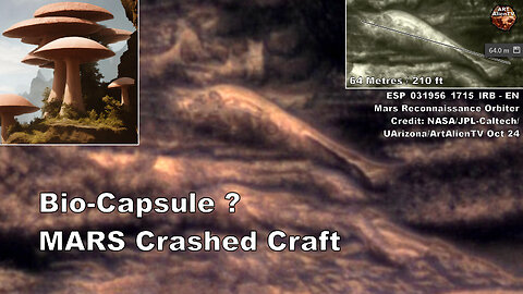 MARS Crashed Craft (Part 2) Bio-Capsule Terraforming ? ArtAlienTV