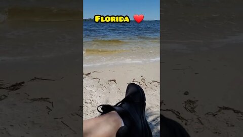 BOATS, BOATS, BOATS! | My Florida Adventures 🌊🌴