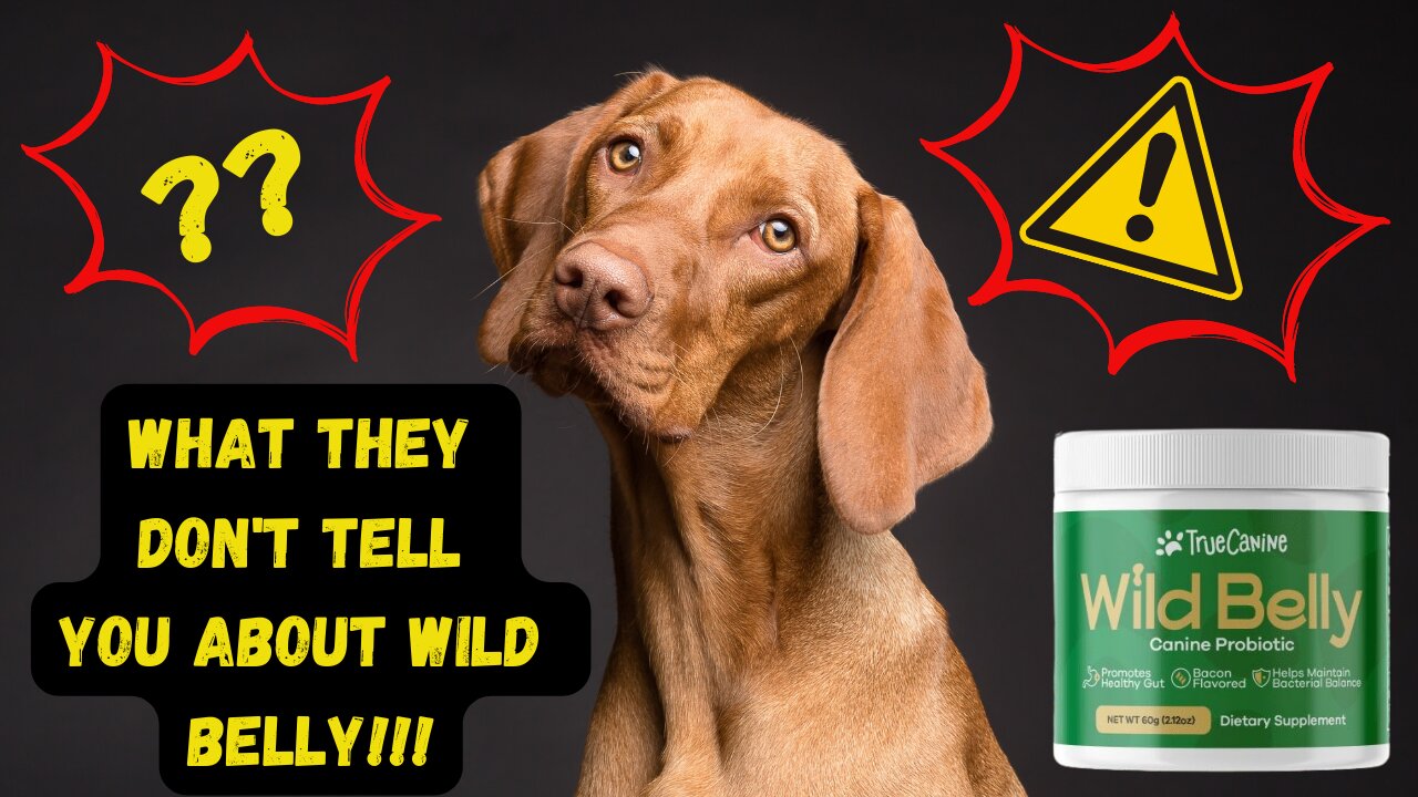 THE WHOLE TRUTH ABOUT WILD BELLY CANINE PROBIOTIC!