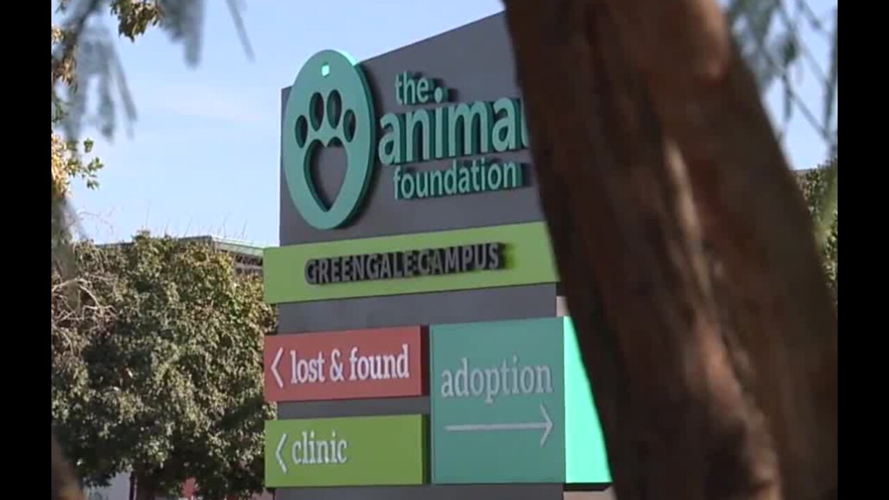 Local leaders demand answers, call for audit of The Animal Foundation