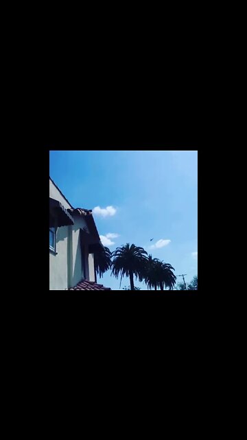 Helicopters swarm L.A. neighborhoods