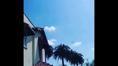 Helicopters swarm L.A. neighborhoods