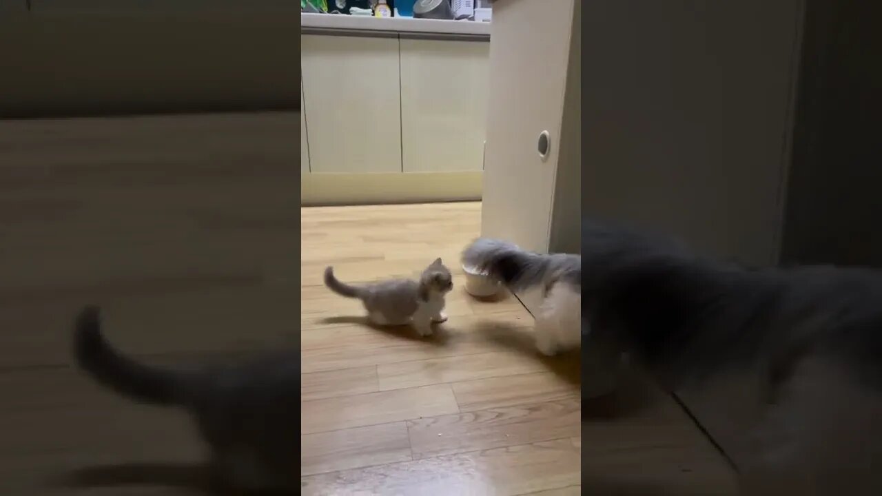 ☺️