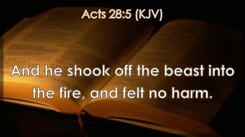 Sunday Morning, May 29th - And he shook off the beast