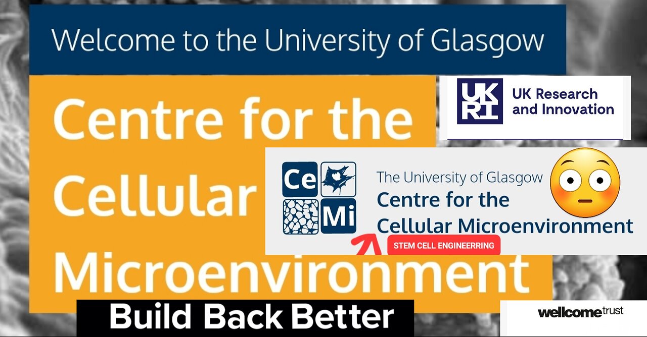 BUILDING BACK BETTER AT GLASGOW UNIVERSITY - STEM CELL ENGINEERING