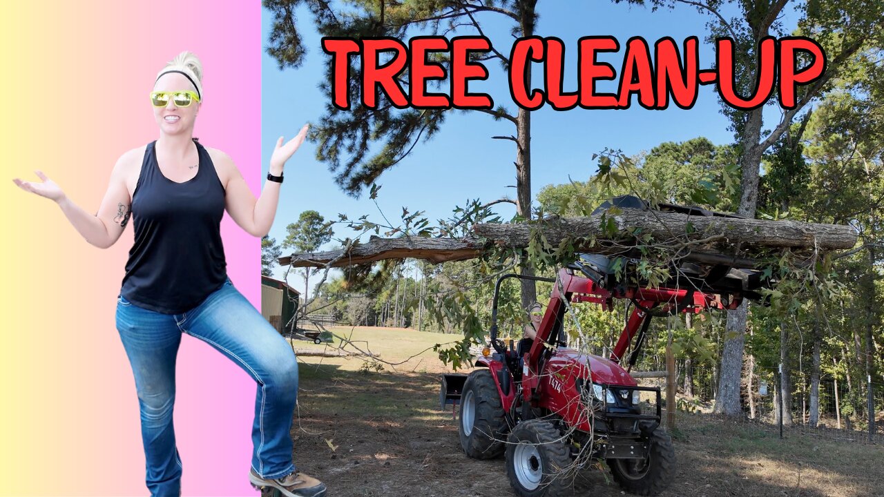 Tree clean up. Winches, tractors and chainsaws. Proper farm tools.