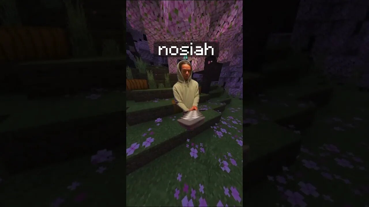 certified minecraft moment