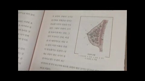 진화의 산물, 사랑의 작동원리, 샤론 모알렘, 영장류, 큰 유방, 지방조직, 암컷, 수컷, 지방,유두,호르몬, 면역체계, 진화론적 효용, 생물학적 이유, 문화적 관습, 2차성징