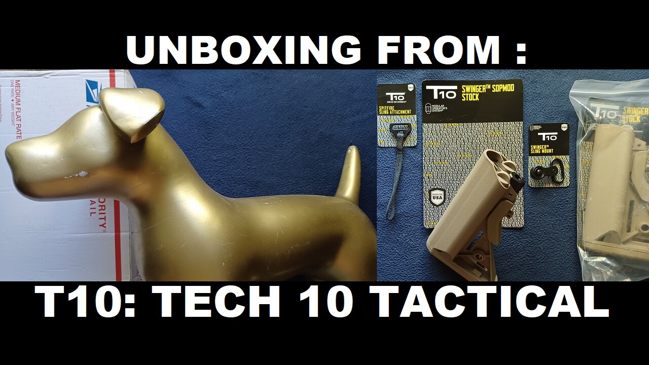 UNBOXING: T10 (TECH TEN TACTICAL). SW*NGER SOPMOD COMBO KIT, SPITFIRE SLING ATTACHMENT