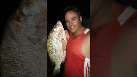 Temporada de Pesca Sub 2022 foi abençoada 🙏🐟 - Michel Carvalho #shorts #PescaSub #Spearfishing