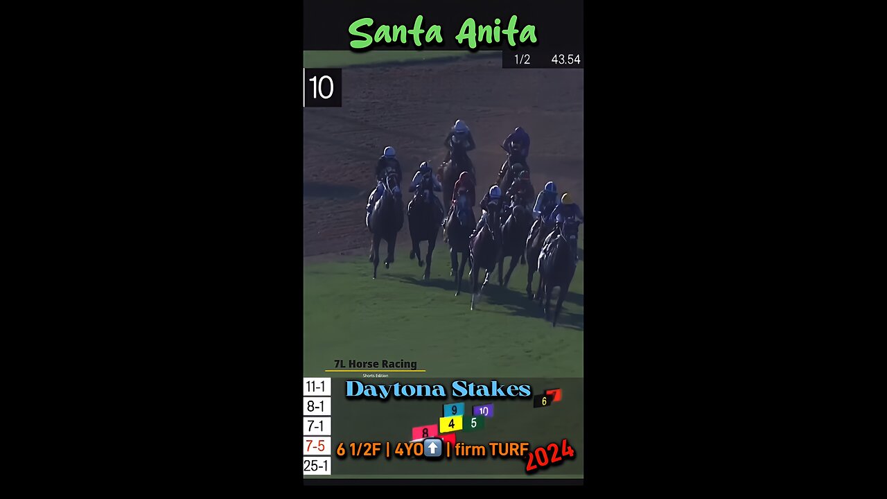 Daytona Stakes 2024 - Shorty