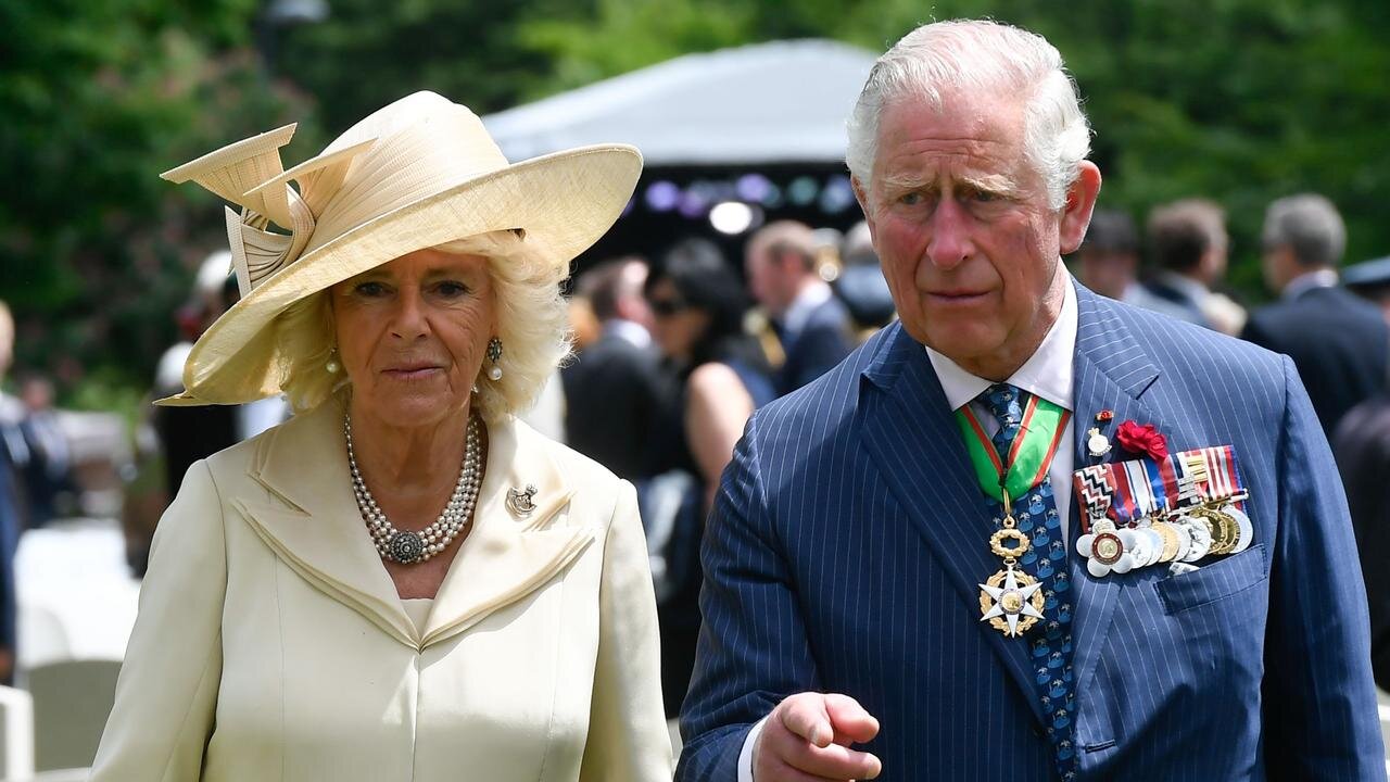 KING CHARLES WIFE IS WEARING A MASK. WHO IS UNDER THERE?