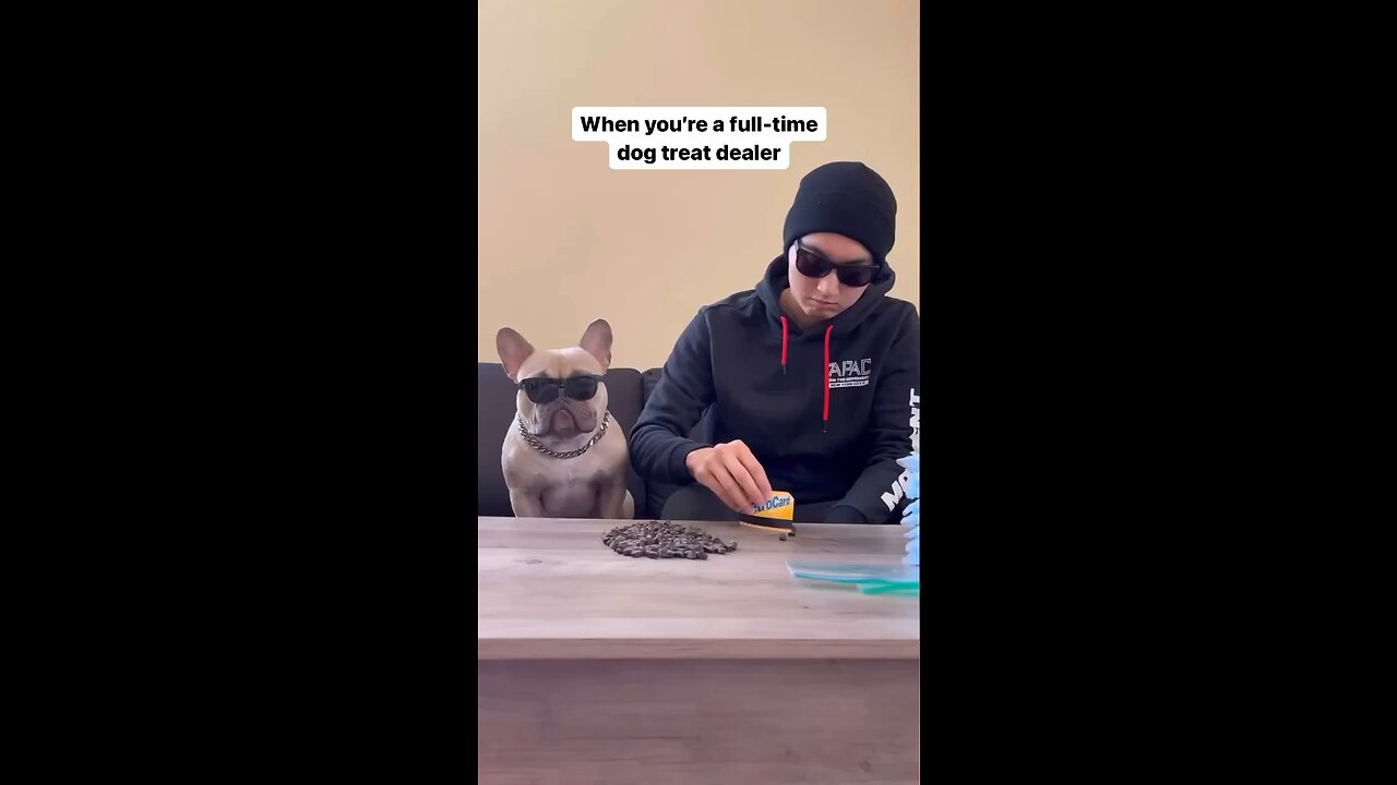 When you are full-time dog food dealer