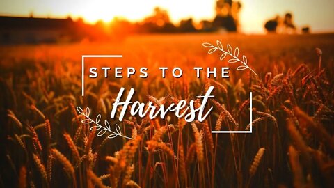 Steps To The Harvest