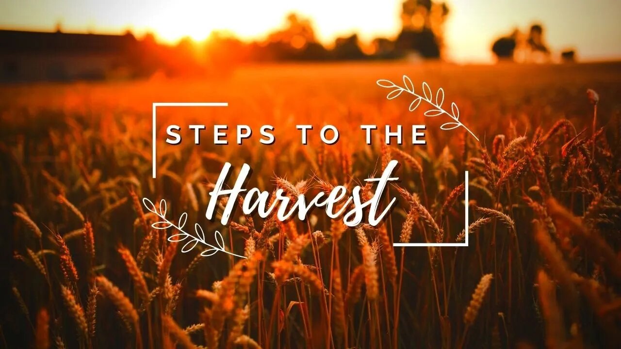 Steps To The Harvest
