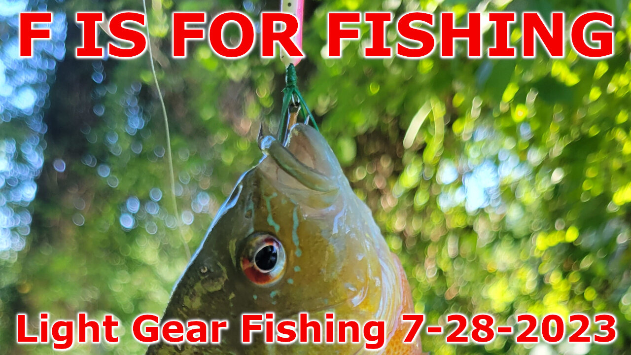 Light Gear Fishing 7-28-2023