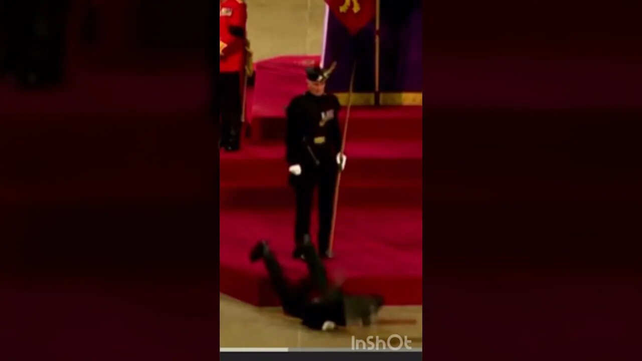 Royal Guard Collapses - Face Plants #queenelizabeth #shorts