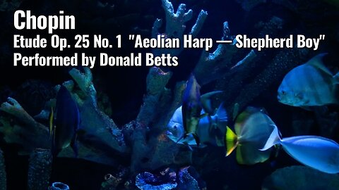 Chopin — Etude Op. 25 no. 1 in A flat major - 'Aeolian Harp — Shepherd Boy'