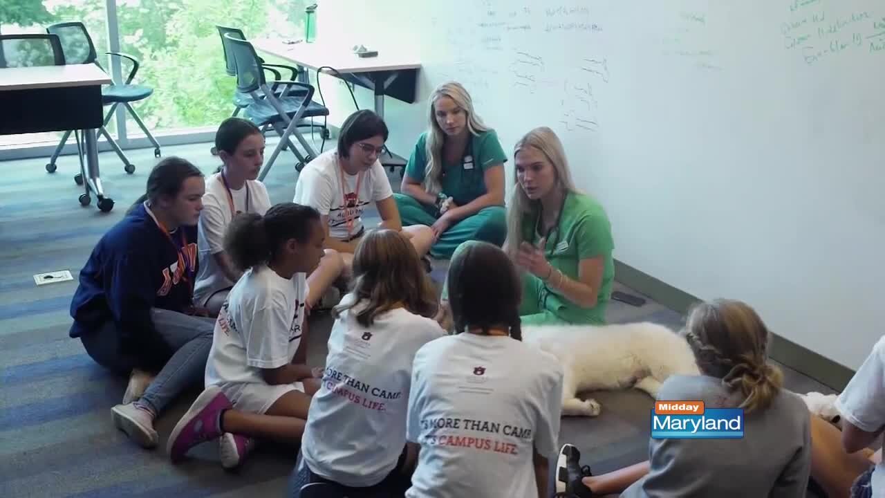 VCA - Vet Set Go Camp