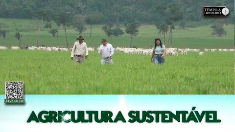Agricultura Sustentável - com Frederico Olivi