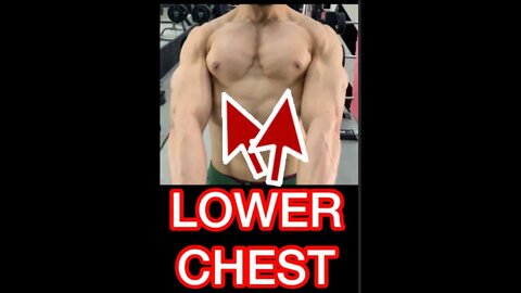 LOWER CHEST #shorts #youtubeshorts