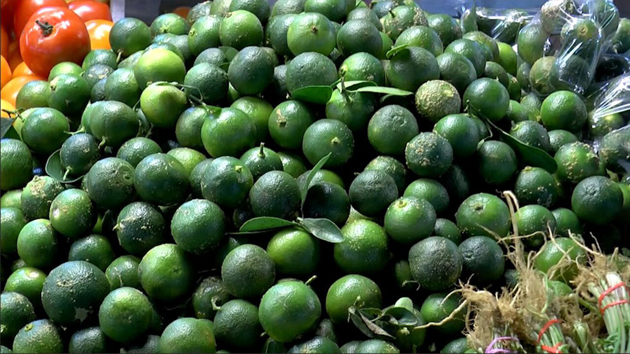 Philippines eyeing calamansi exports to China –PH envoy