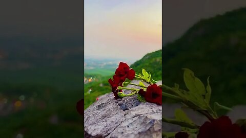 #islamabad #naturalbeauty #standwithkashmir #foryoupage