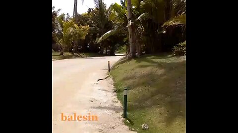 Balesen Philippines