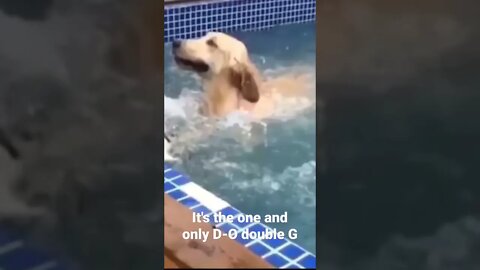 It's the one and only D-O double G #shorts