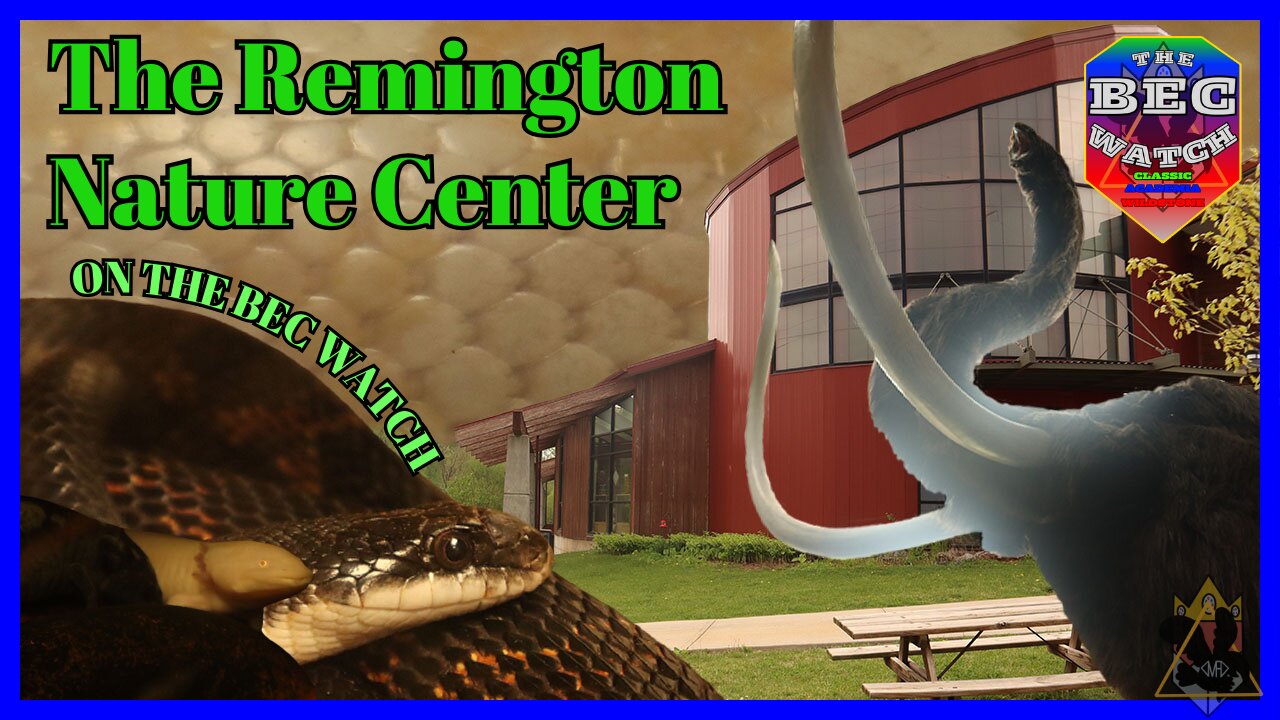 BEC Watch Entries: #34 The Remington Nature Center