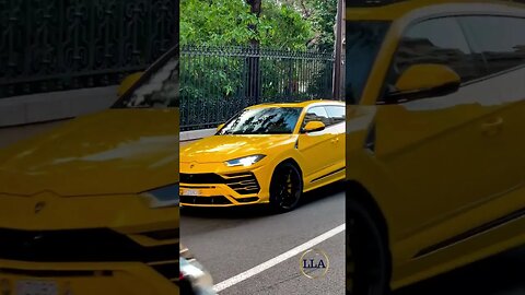 Luxury Cars, Luxury Lifestyle | GO YELLOW #shorts #luxury #car