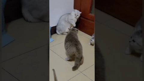 Vadivelu Drums Player