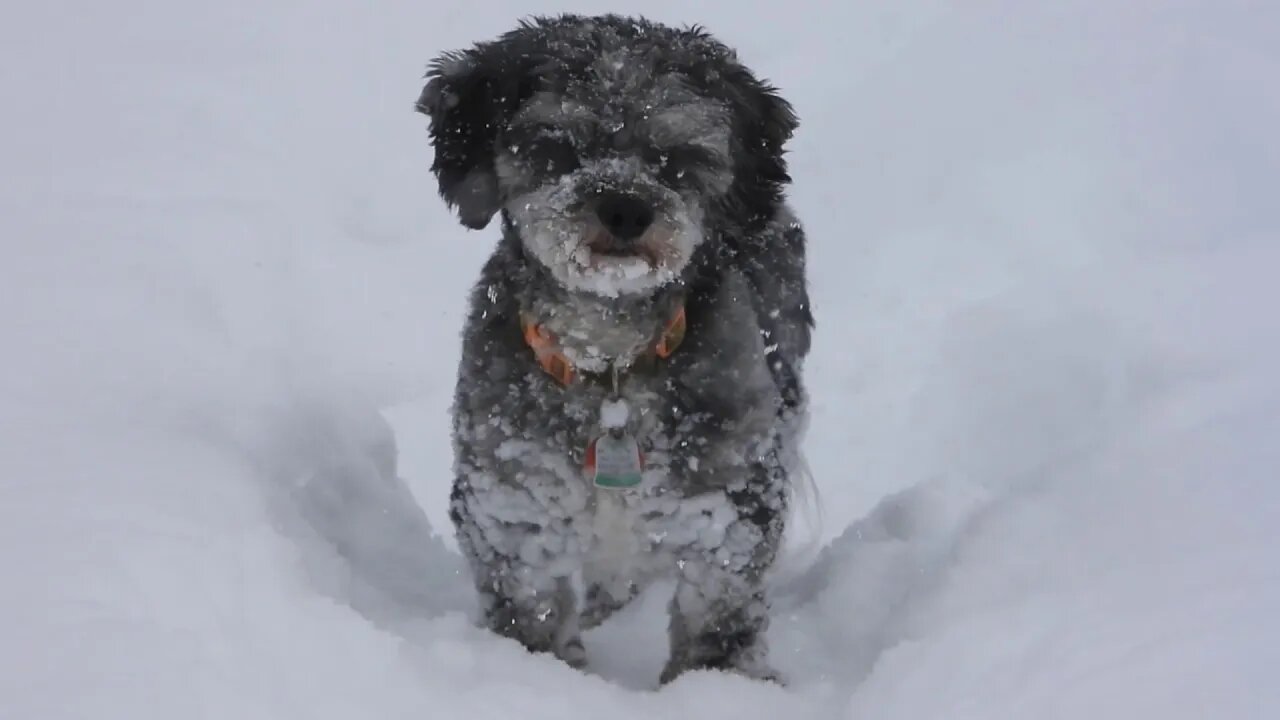 Eleven Inches Of Global Warming