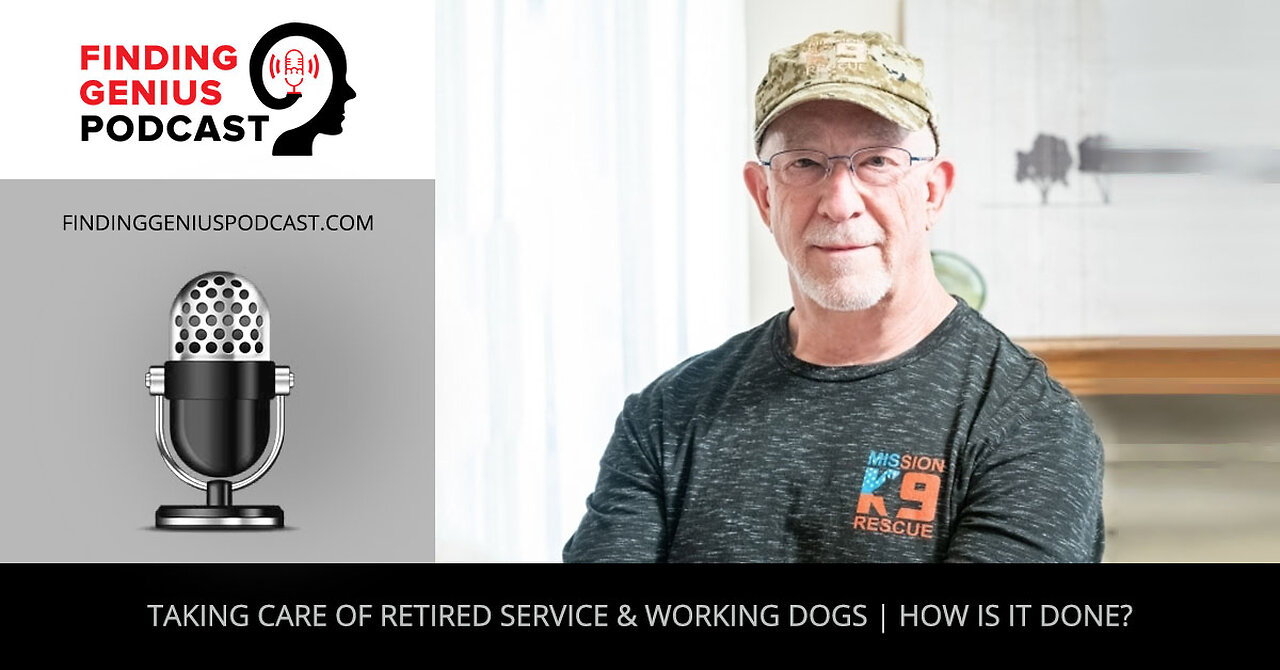 Taking Care Of Retired Service & Working Dogs | How Is It Done?