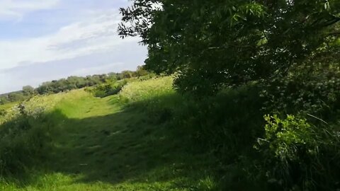 walking and Pondering Daily Devotional