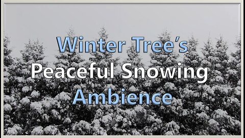 Winter Tree's Snowing Ambience