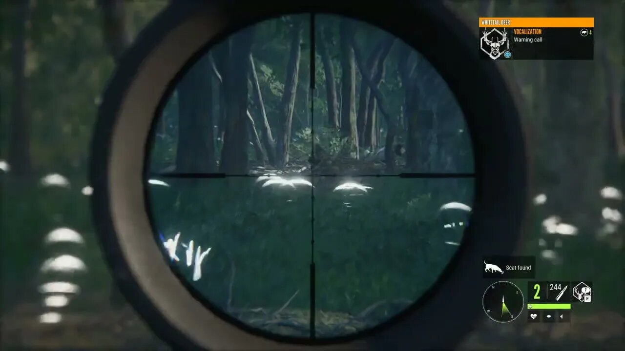 The Hunter Call of the Wild Whitetail Deer Mississippi