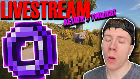 LIVE - Minecraft MODDED AETHER PLAYTHROUGH 8