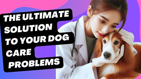 The Ultimate Solution to Your Dog Care Problems