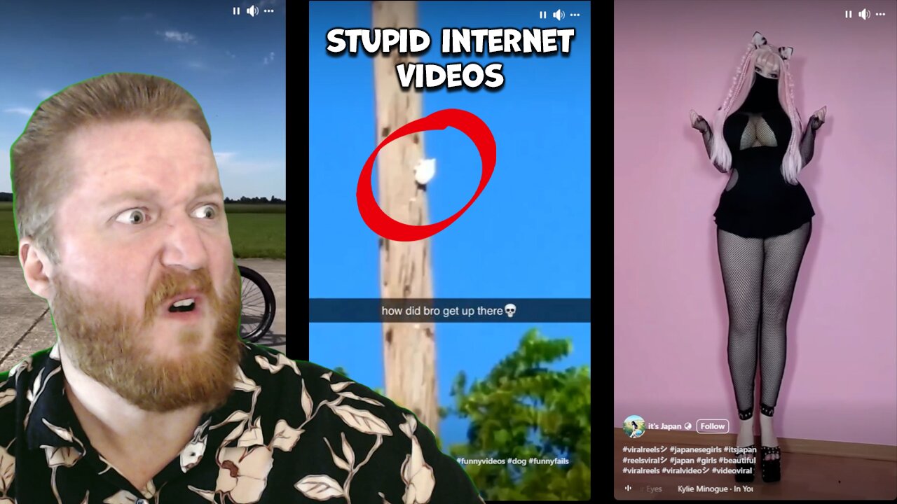 Stupid Internet Videos