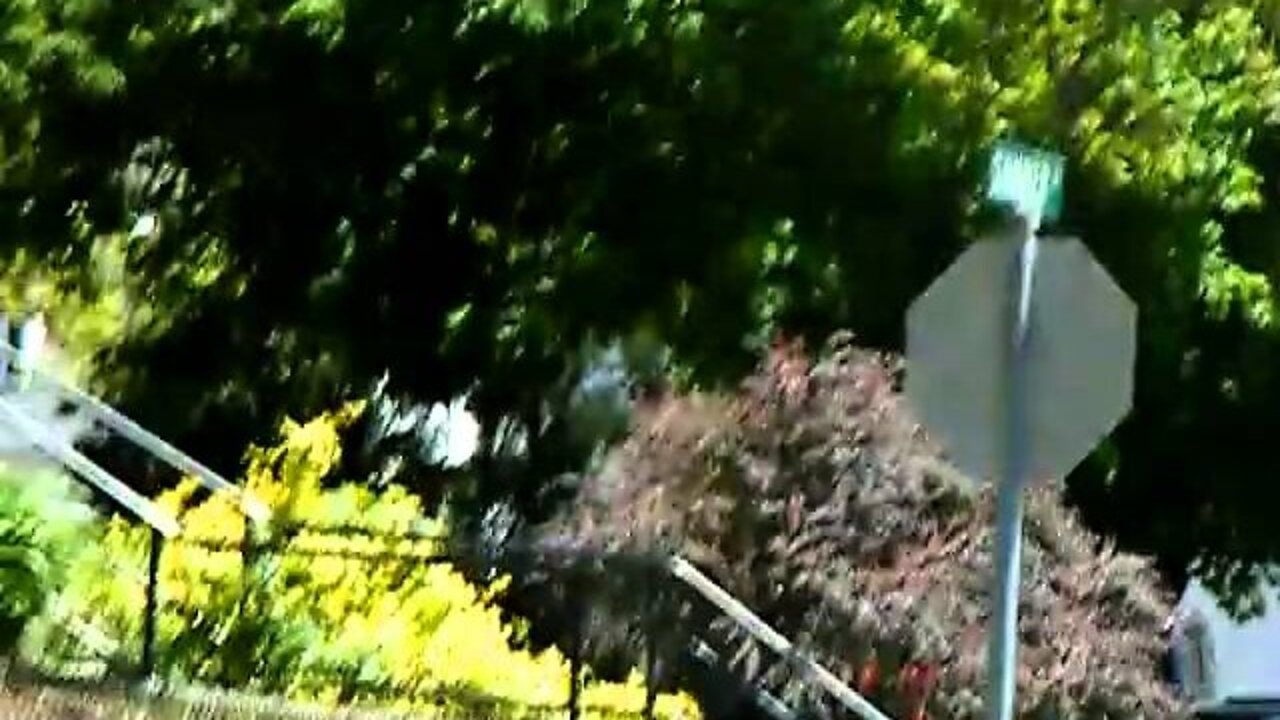 FBI going next door 5-13-10 Waverly Ave.AVI