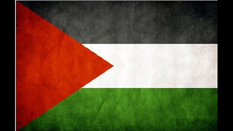Palestine's right to resist