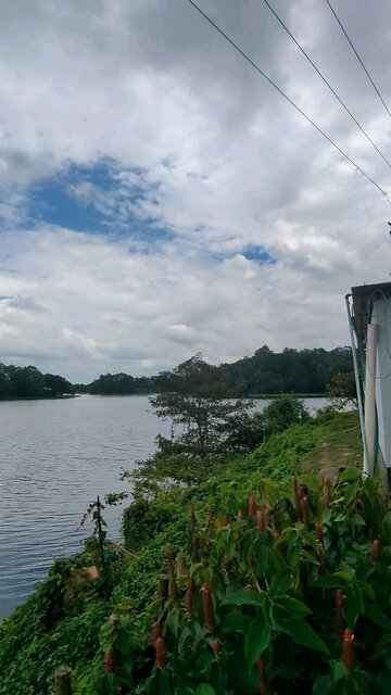 trusted hands are rare