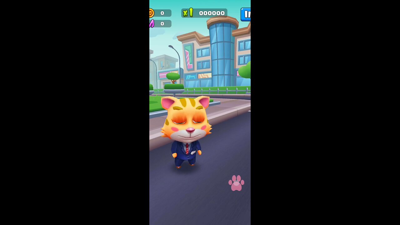 Cat running challenge