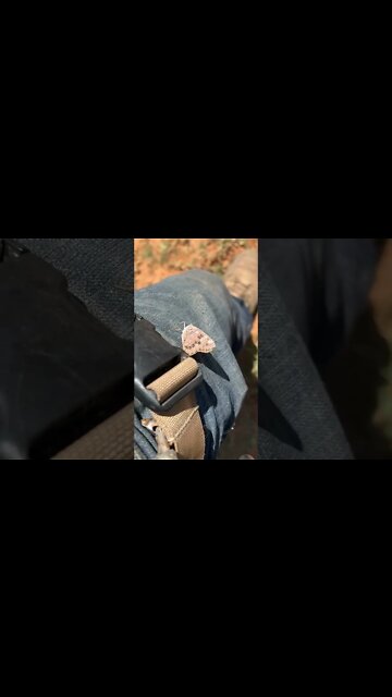 Beauty is everywhere #blackwater #defkon3