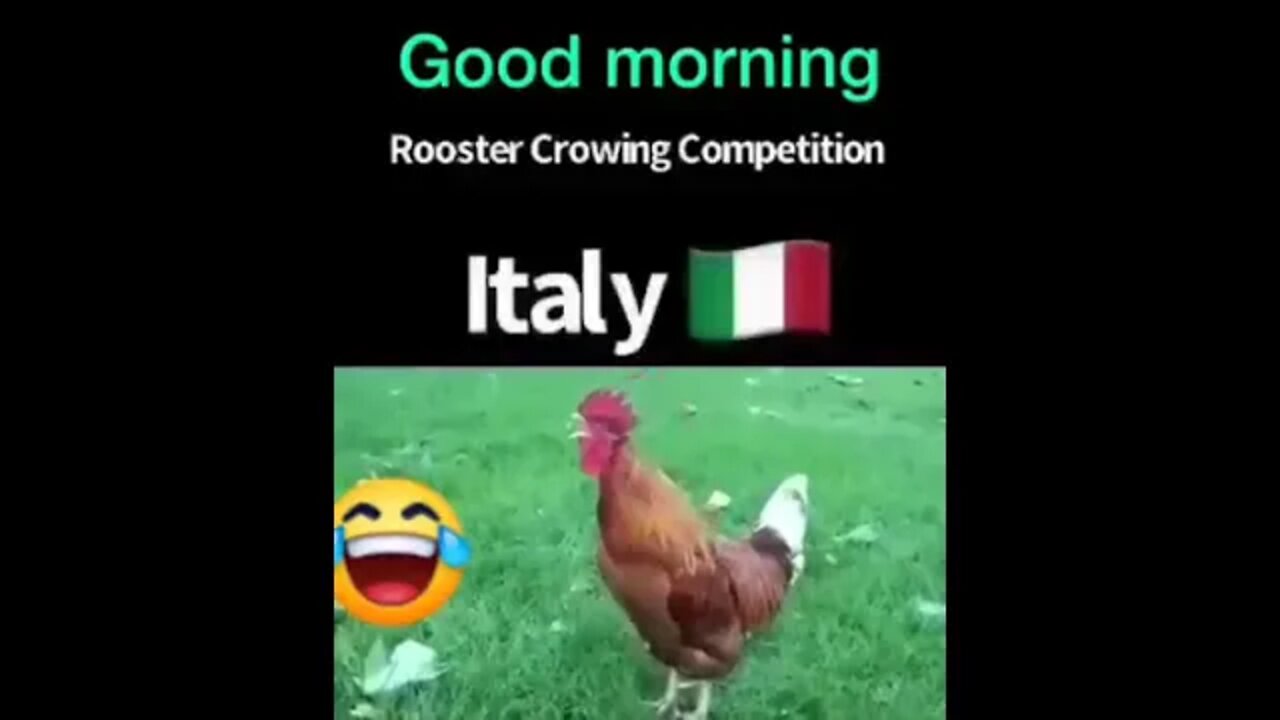 Hen|Good morning status|new good morning status|good morning wishes|good morning status 4k|🌄🌻