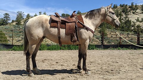 Ramon Castro_Cody Groundwork_2022April