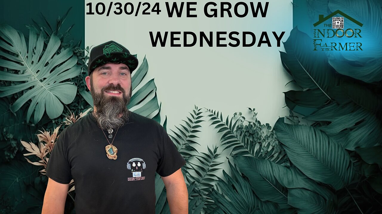 We Grow Wednesday 10/30/24, Let's Grow