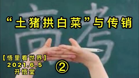 KWT1869(2) “土猪拱白菜”与传销20210605-9【悟里看世界】