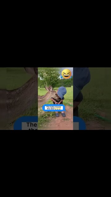 Baby.! #baby #shorts #subscribe #funny #whatsappstatus #cute